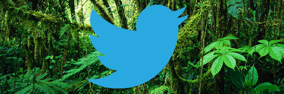 twitter