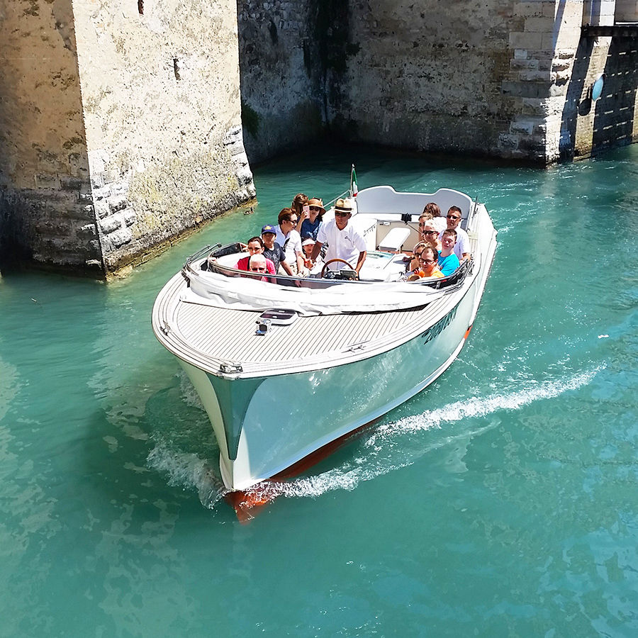 beluga13