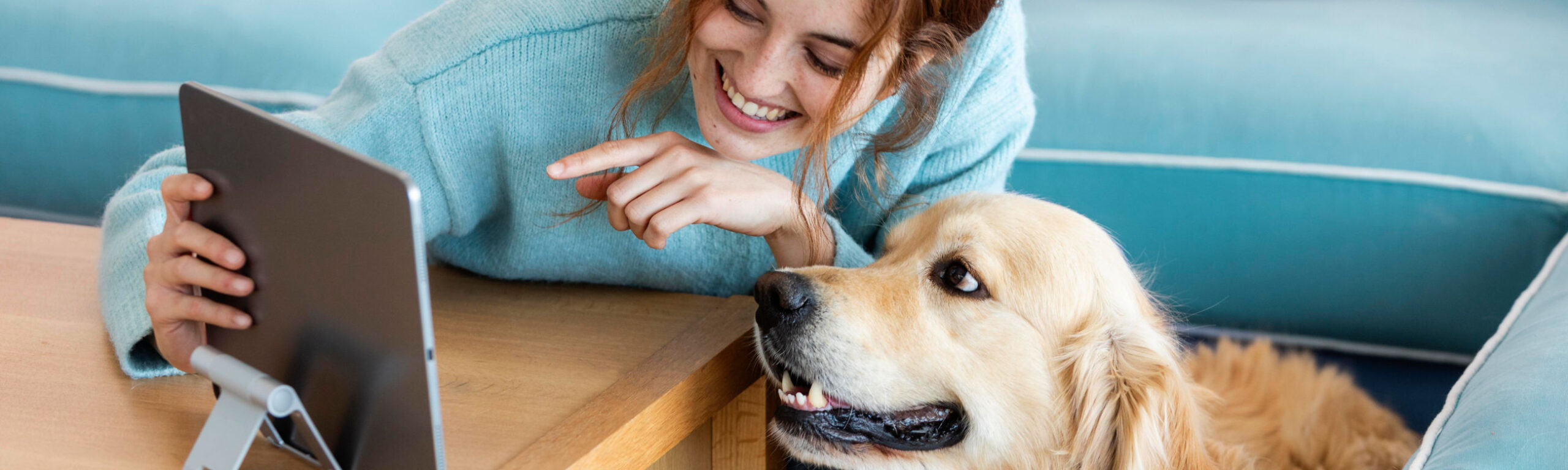 robinsonpetshop header