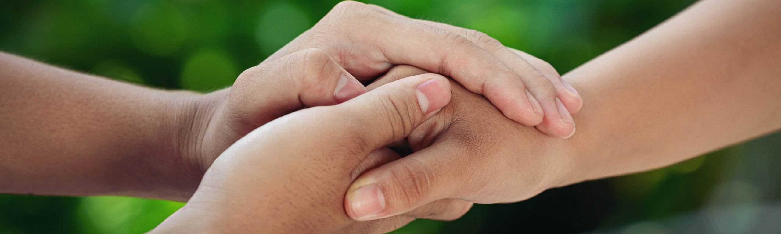 thsolidarity header